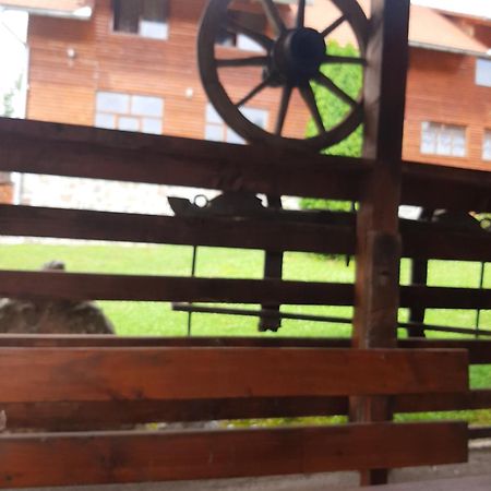 Pensiunea Codru Salciua de Jos Luaran gambar