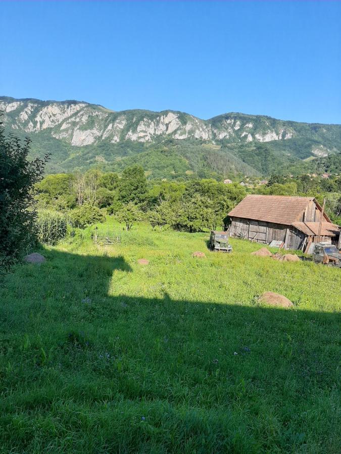 Pensiunea Codru Salciua de Jos Luaran gambar