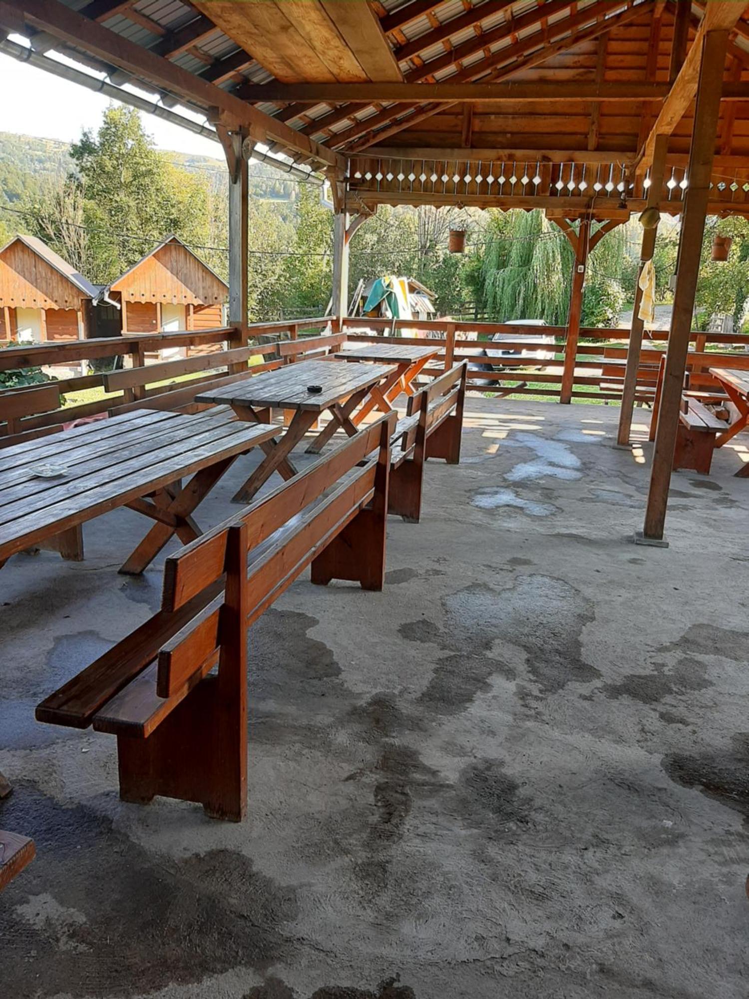 Pensiunea Codru Salciua de Jos Luaran gambar